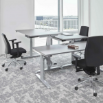 Bürobereich von Hund